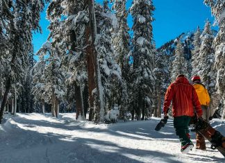 Tips-to-Choose-the-Right-Snowboard-Boots-on-digitaldistributionhub