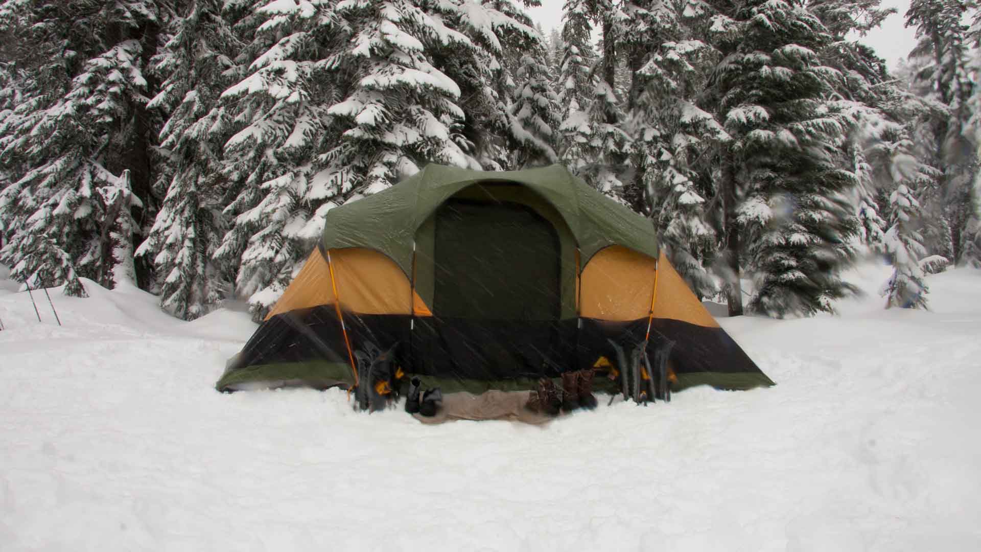 Tips of Checking a Tent Before You Go for A Camp